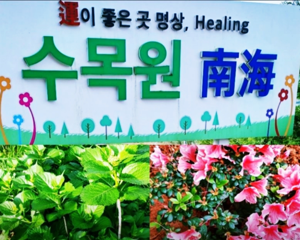 수2.JPG
